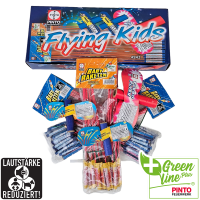 Bild Flying Kids (F2) | Waffen Falch